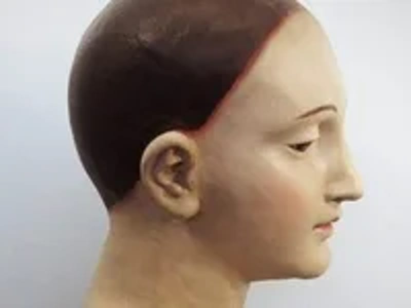 OSTEOSENSES - Cuidado Domiciliar in Santos, SP photo 1