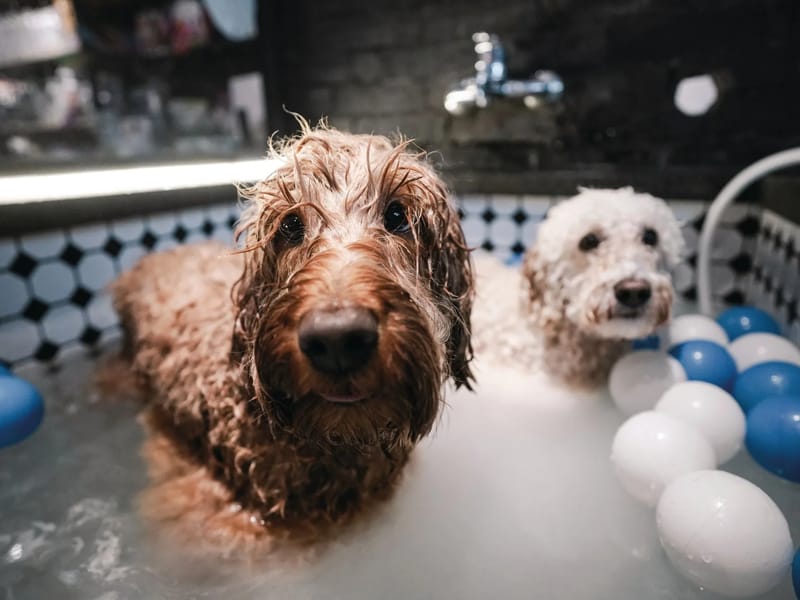 Pacific Care Services London - Home Safety Modifications in Barking, England photo 1