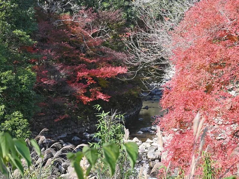 ほのぼの青葉 - 有料老人ホーム in 宮崎市, 宮崎県 photo 2