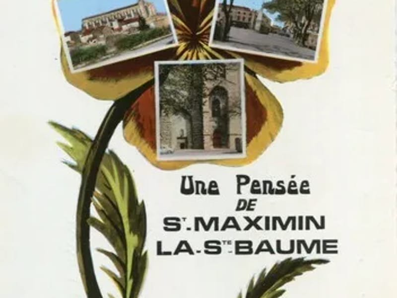Aj Les Pensees En Provence - Accueil de Jour in ST MAXIMIN LA STE BAUME, Provence-Alpes-Côte d'Azur photo 2