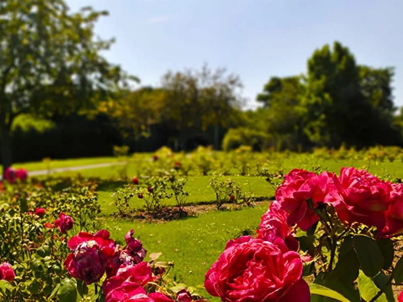 Barnford House - Nursing Home in Oldbury, England photo 1