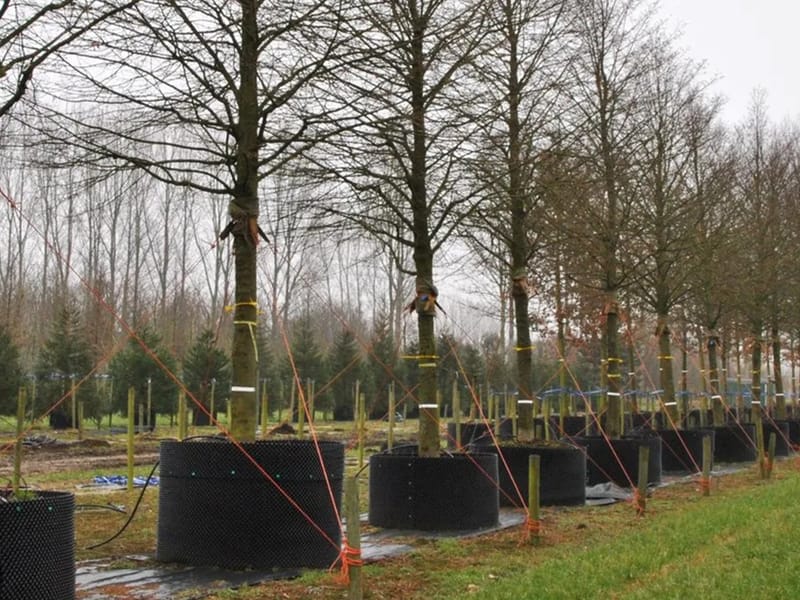 Allögården C-huset - Äldreboende in Kristianstad, Skåne län photo 1