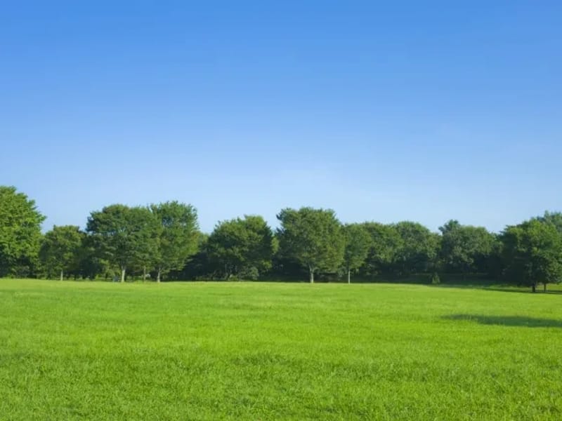 Sunnyside介護サービス - 訪問介護 in 大阪市西成区, 大阪府 photo 6