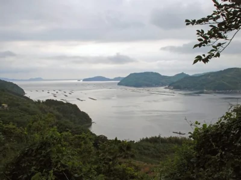 ウェル　つしま - 有料老人ホーム in 宇和島市, 愛媛県 photo 3