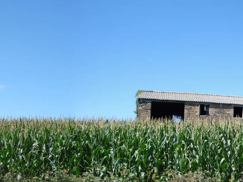 Residencia A Pastoriza - Hogar de Ancianos in Santiago De Compostela, Galicia photo 3