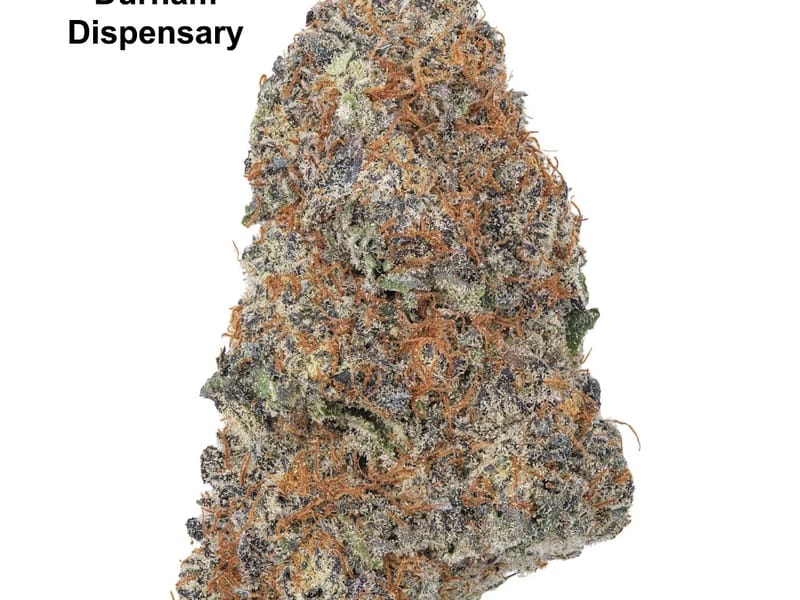 The Dispensary in Durham, England photo 2