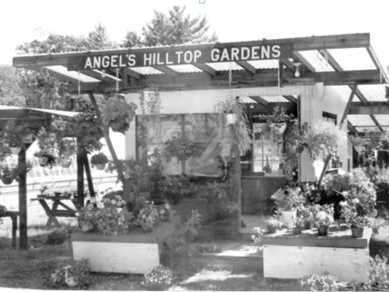 Angels Garden Aclf Inc - Assisted Living in Tampa, FL photo 1