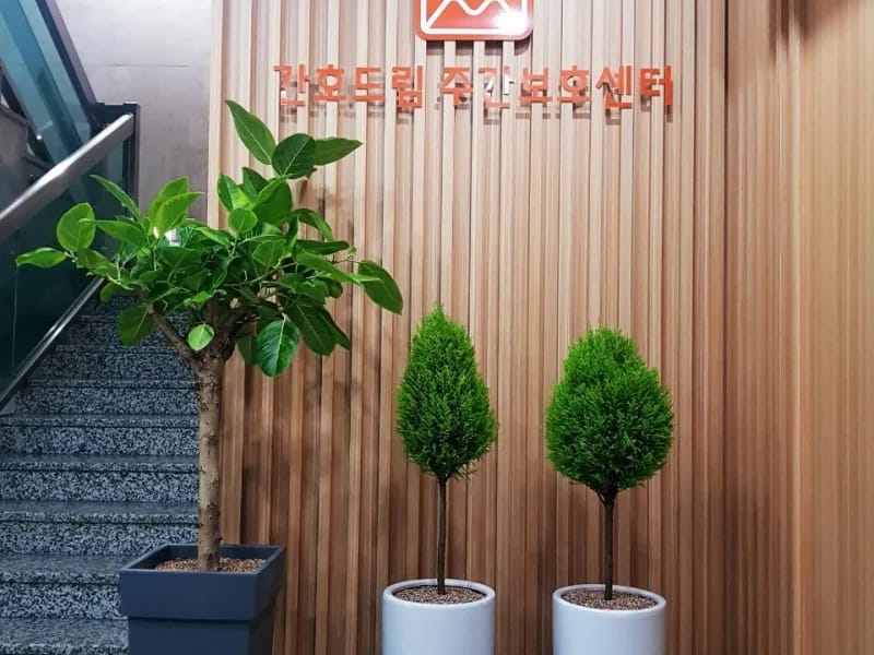 간호드림주간보호센터 - 방문요양 in Sejong, 세종특별자치시 photo 3