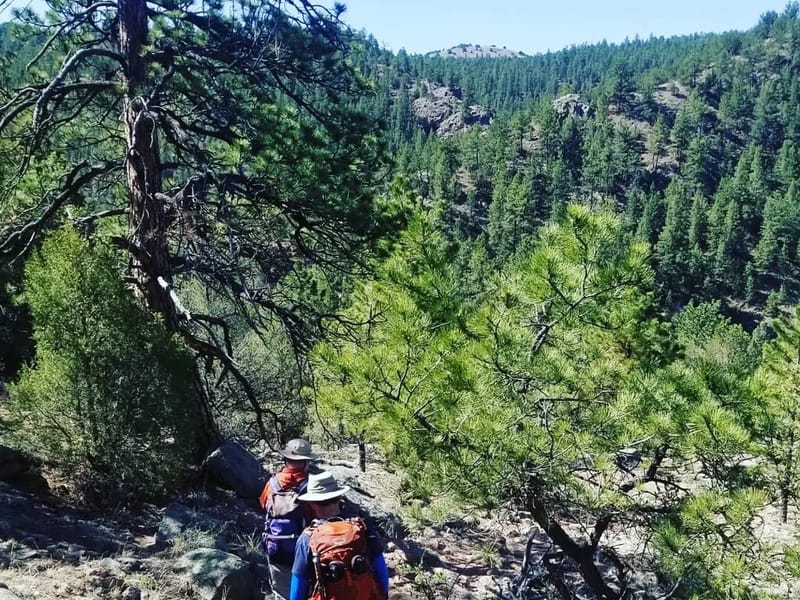 ALL ABOUT FAMILY I - Home Health Nursing in Florissant, MO photo 2