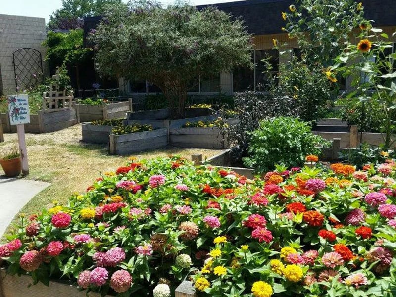 Crestwood Manor - Nursing Home in Modesto, CA photo 2