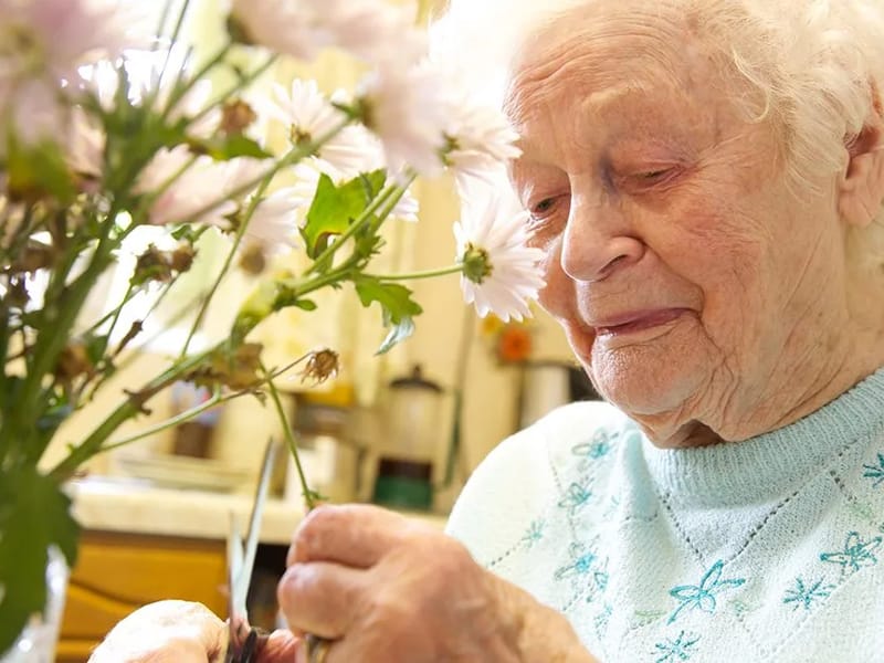 Golden Gardens Assisted Living - Assisted Living in Parsonsburg, MD photo 3