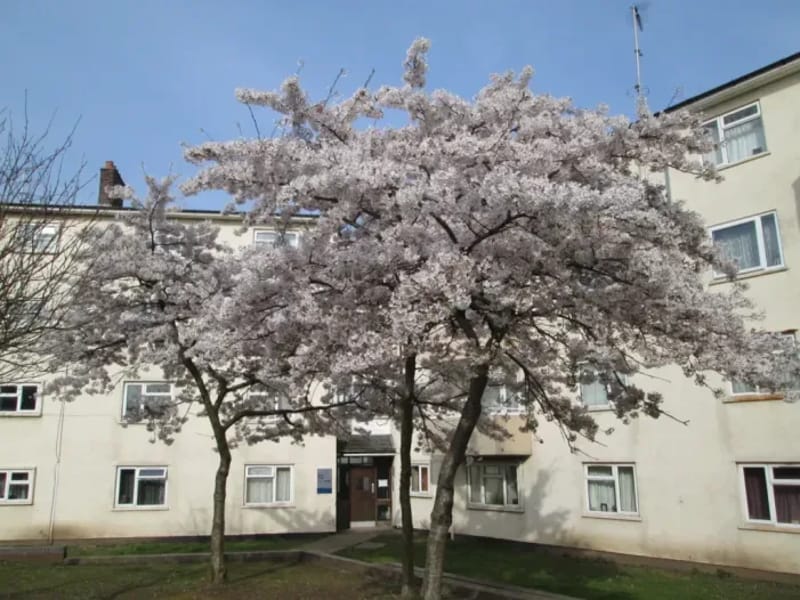 Cherry Trees - Nursing Home in Alcester, England photo 2