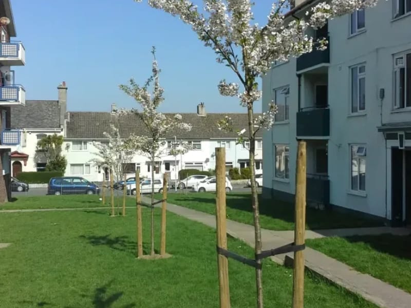 Cherry Trees - Nursing Home in Alcester, England photo 1