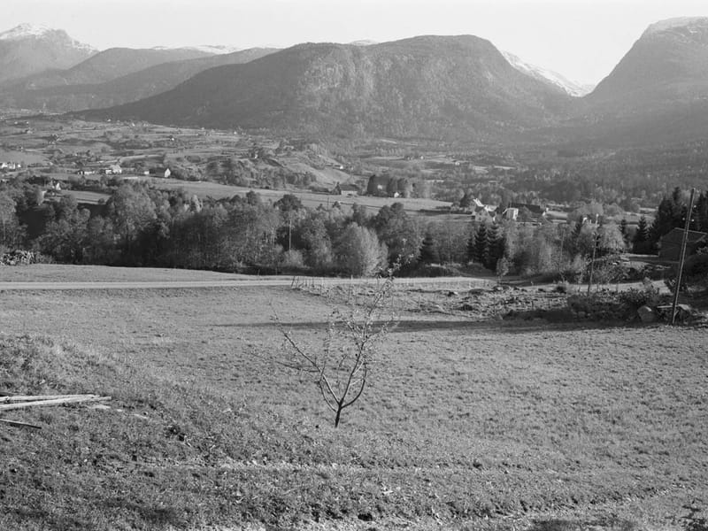 Sykehjem Giske - Sykehjem in Giske, Møre og Romsdal photo 3