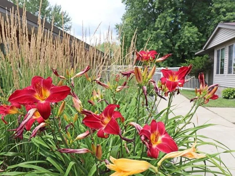 Centennial Villa Memory Care - Assisted Living in Annandale, MN photo 3