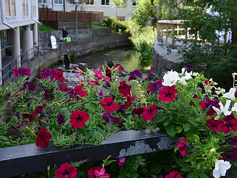 August Jansgården - Äldreboende in Norrtälje, Stockholms län photo 2