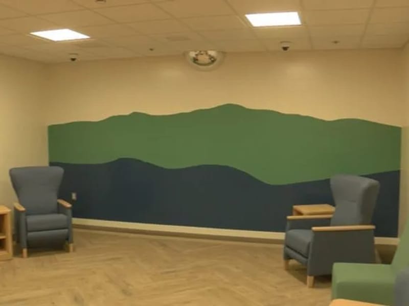 ALLY PSYCHIATRIC WELLNESS - Home Health Nursing in Bozeman, MT photo 3