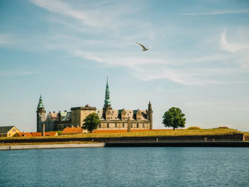 Aktivitetscentret Hamlet - Dagaktivitet for voksne in Helsingør, Region Hovedstaden photo 2