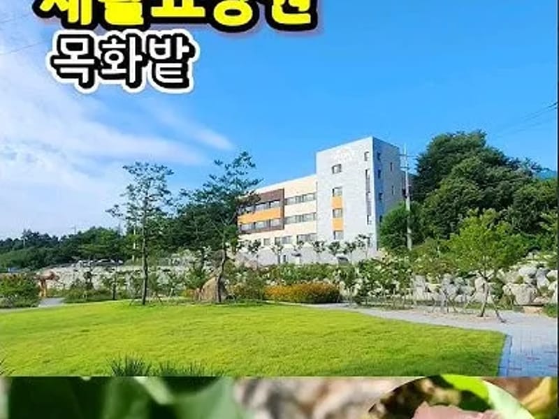 경남목화요양원 in 진주시, 경상남도 photo 2