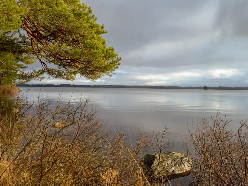 Säbo Forsgården - Äldreboende in Värnamo, Jönköpings län photo 2