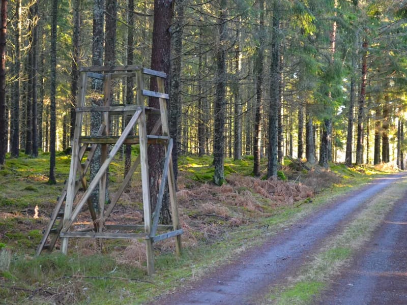 Säbo Forsgården - Äldreboende in Värnamo, Jönköpings län photo 3