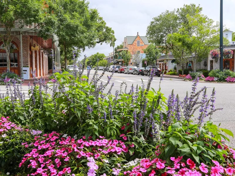 Fairhope - Assisted Living in Wimborne, England photo 2