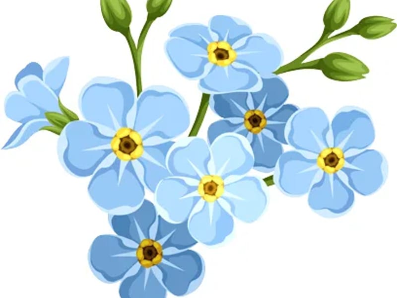 Fairbanks Memorial Hospital Hospice Services - Hospice in Fairbanks, AK photo 3