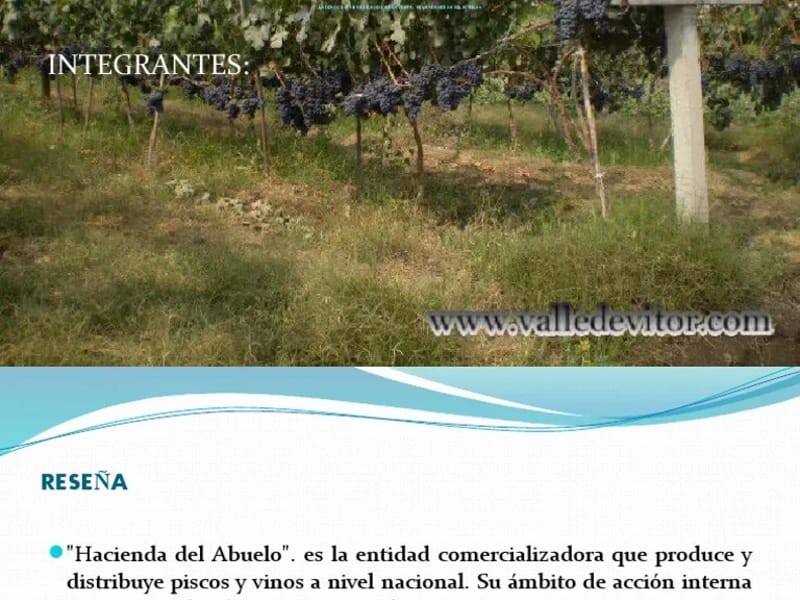 HACIENDA DEL ABUELO SAN JOSE - Vida Asistida in Cananea, Sonora photo 1