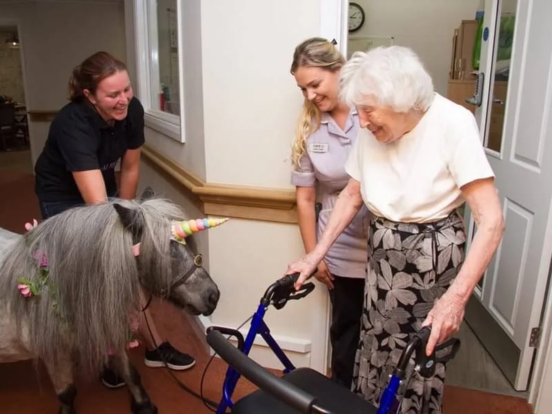Snowdrop House - Nursing Home in Ware, England photo 3