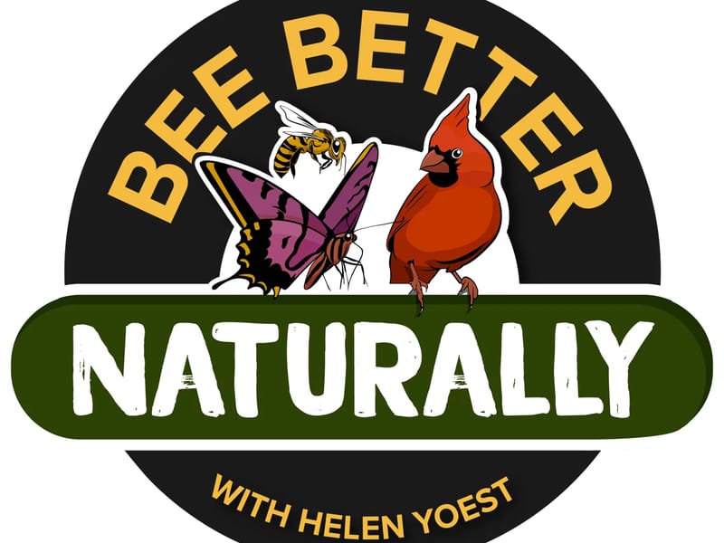 Bee Better Care - In-Home Care in Selby, England photo 3