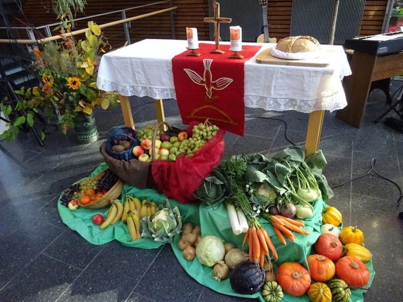 Seniorenzentrum Käthe Braus, Bottrop - Pflegeheim in Bottrop, Nordrhein-Westfalen photo 3