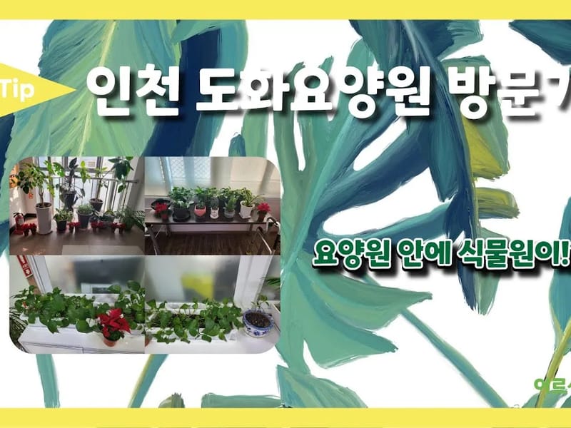 (인천)에벤에셀요양원 in 미추홀구, 인천광역시 photo 2