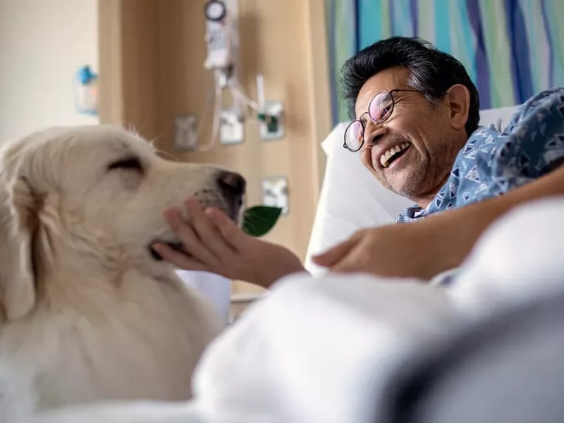 Adventhealth Home Health And Hospice INC - Home Health Nursing in Ormond Beach, FL photo 1