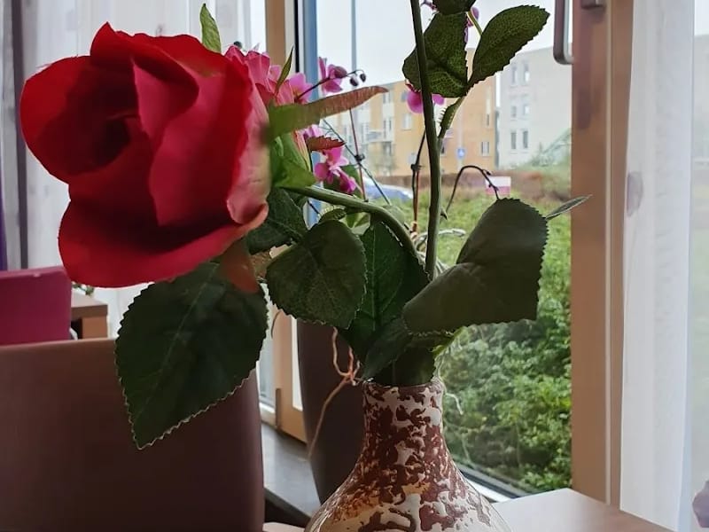 t Rekerheem - Verpleeghuis in Alkmaar, Noord-Holland photo 2