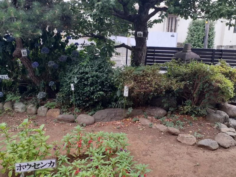 イリーゼかしわ豊四季居宅介護支援事業所 - 有料老人ホーム in 柏市, 千葉県 photo 2