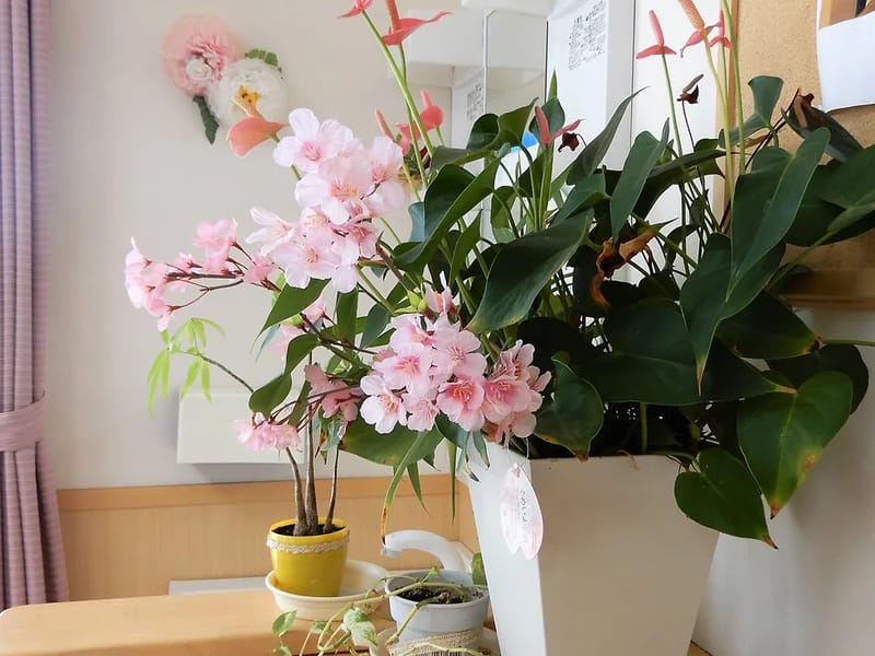 あっとほーむ賛幸指定居宅介護支援事業所 - 有料老人ホーム in 花巻市, 岩手県 photo 2