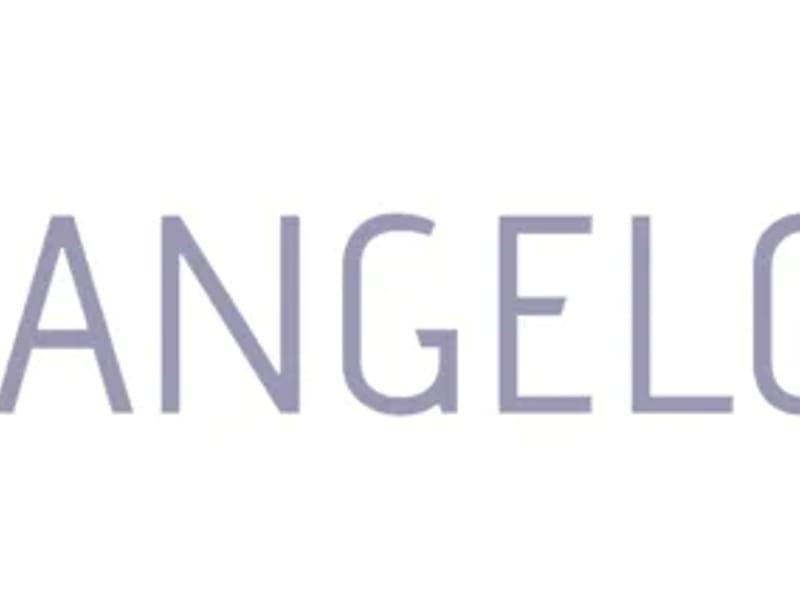 ANGEL CARE NETWORK LTD - Home Health Nursing in Cleveland, OH photo 2
