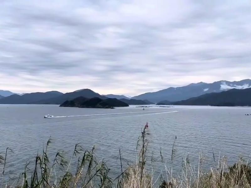 グループホーム　つしま - 認知症ケア in 宇和島市, 愛媛県 photo 2