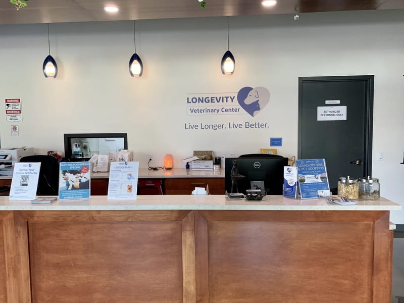 Longevity Care - Main Office - In-Home Care in Chatham, England photo 3