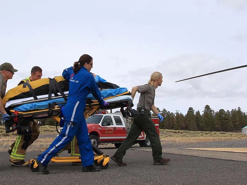 AIR INTERFACILITY TRANSPORT - Home Health Nursing in Farmington, NM photo 2