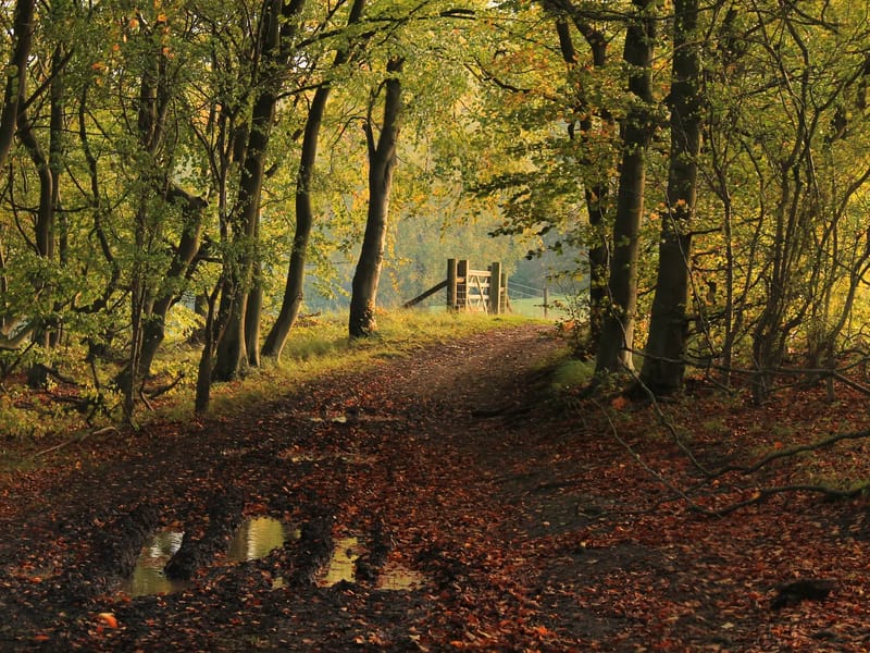 Shrublands - Assisted Living in Oxford, England photo 2