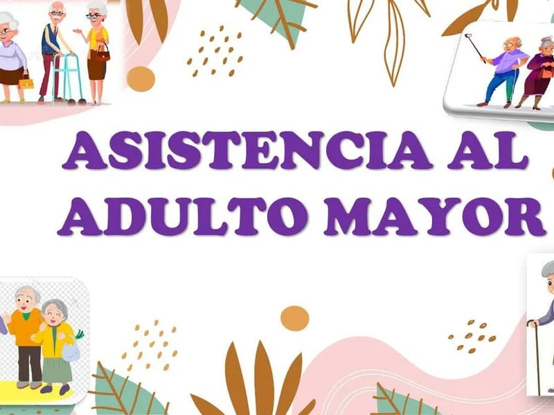 FUNDACION DE ASISTENCIA AL ADULTO MAYOR - Vida Asistida in Metepec, Estado de México photo 3