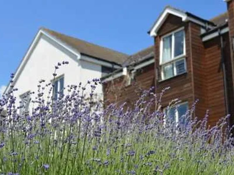 Lavender Court in Taunton, England photo 4