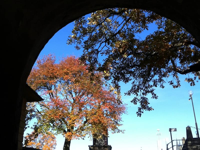 Glimmervägen - Äldreboende in Uppsala, Uppsala län photo 2