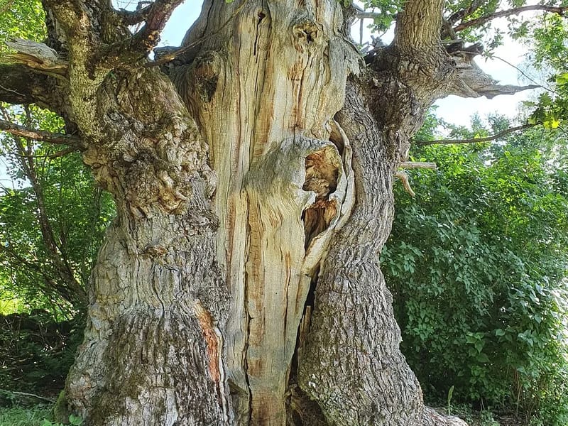 Åkerbo - Äldreboende in Kil, Värmlands län photo 1
