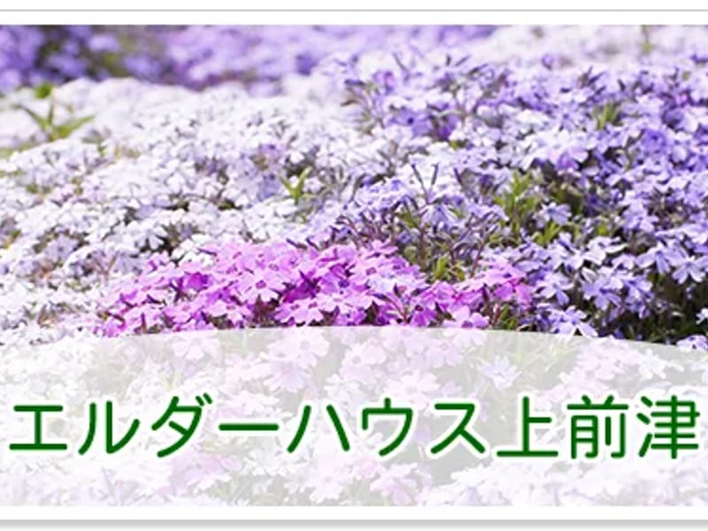 エルダーホーム志賀本通 - 有料老人ホーム in 名古屋市北区, 愛知県 photo 1
