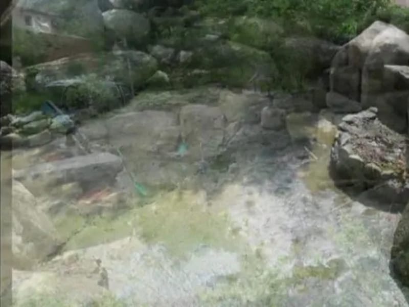 노인요양원 정원 in 거제시, 경상남도 photo 3