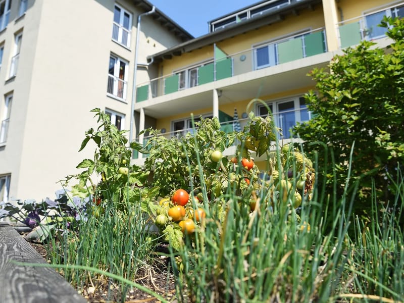 Caritas-Altenheim Albertus-Magnus - Pflegeheim in Neu-Ulm, Bayern photo 3