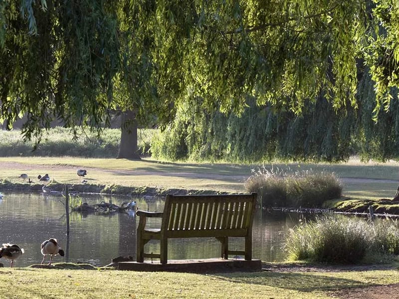 Approach Lodge in London, England photo 2