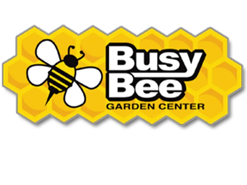1 BUSY BEE CARE SERVICES INC - Home Health Nursing in Brooklyn Park, MN photo 1